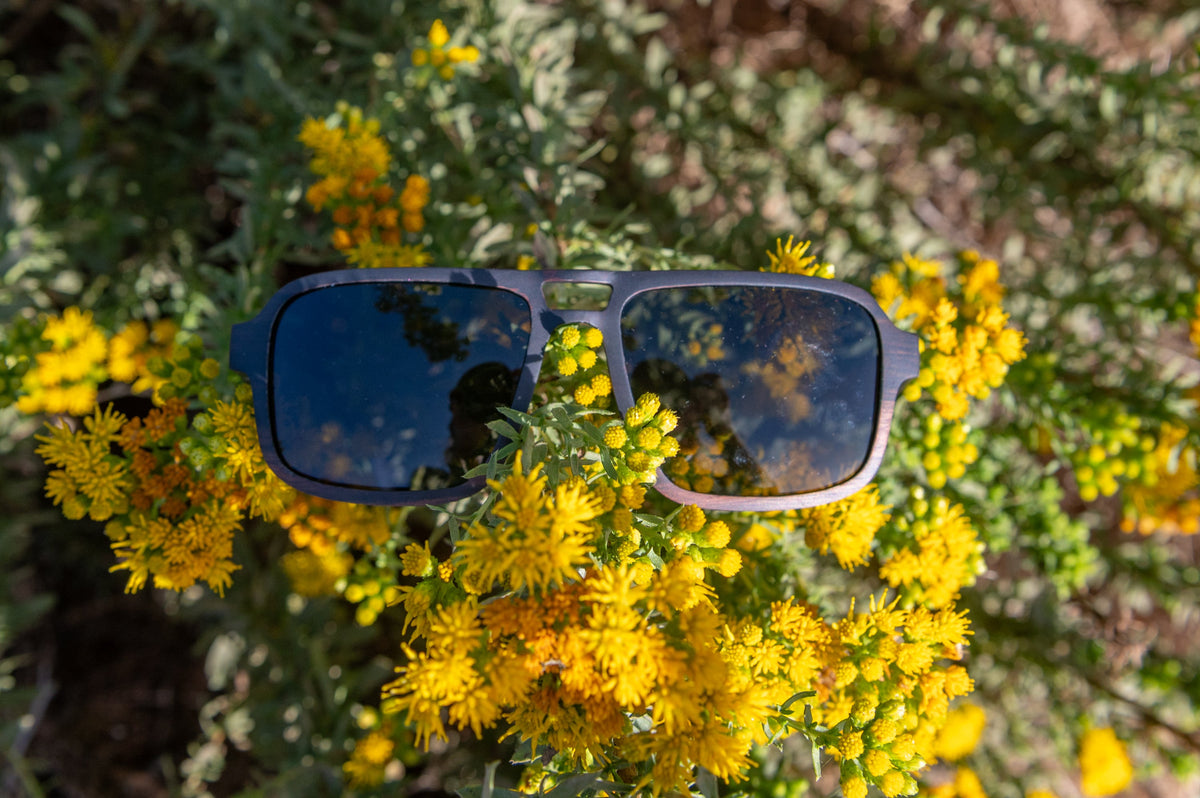 Jerry | Wooden Sunglasses