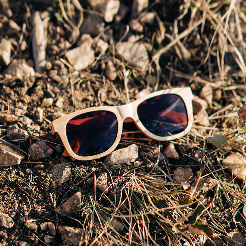 Traveler | Light | Wooden Sunglasses