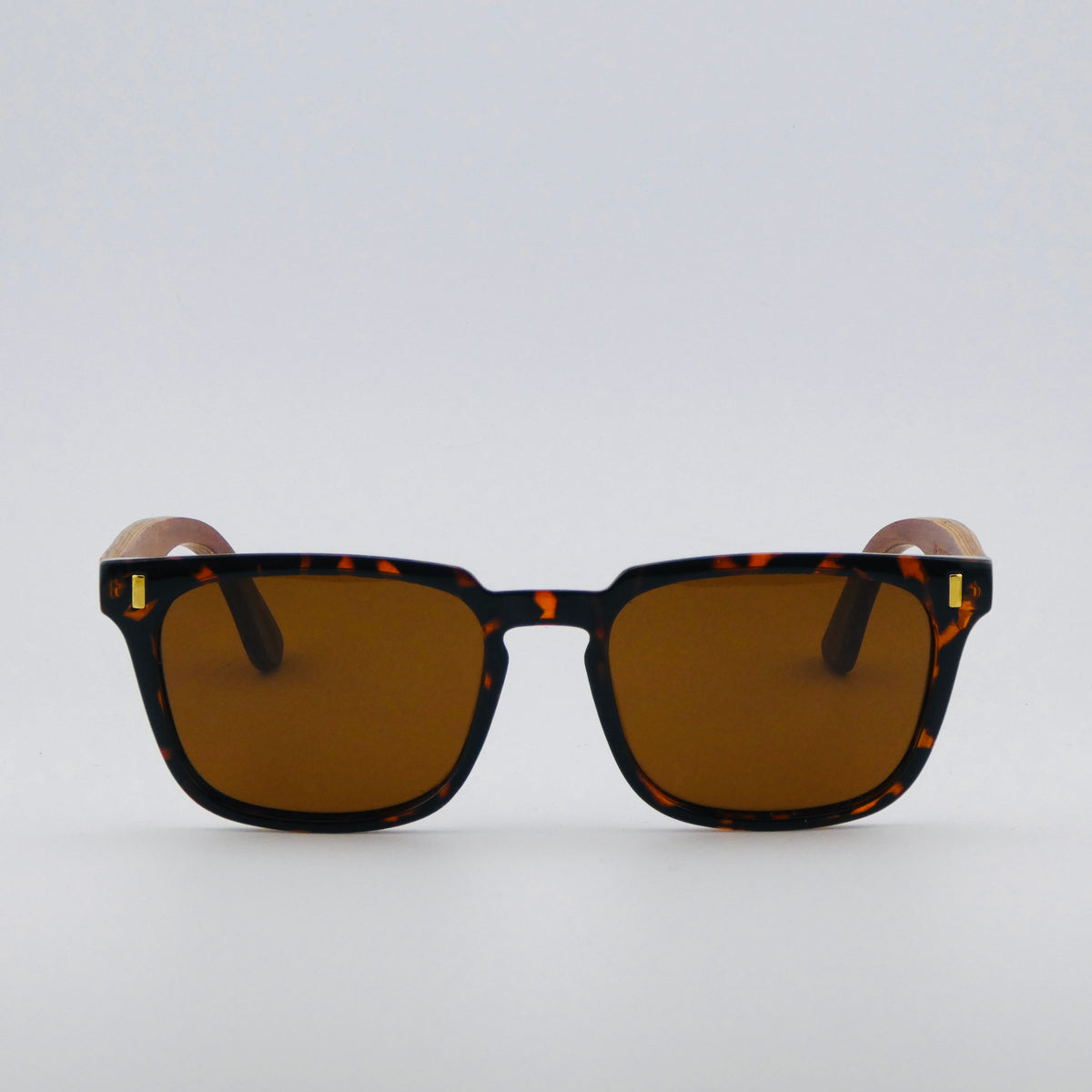 Hybrid Square Frame - Tortoiseshell