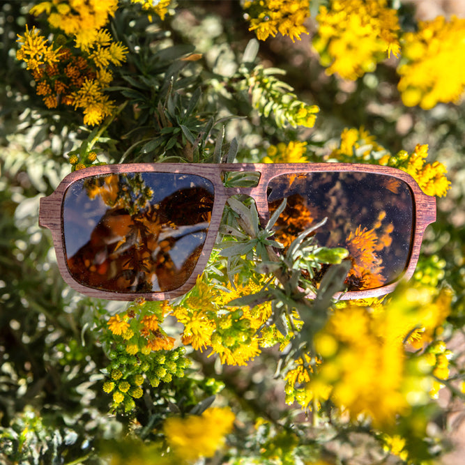TMBR | Sustainably Built Sunglasses That Plant Trees